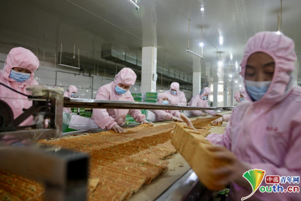 河北宁晋聚力做强食品加工产业(图1)