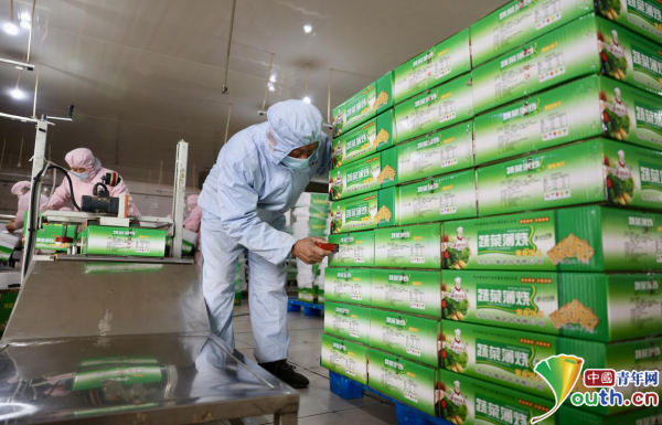 河北宁晋聚力做强食品加工产业(图2)
