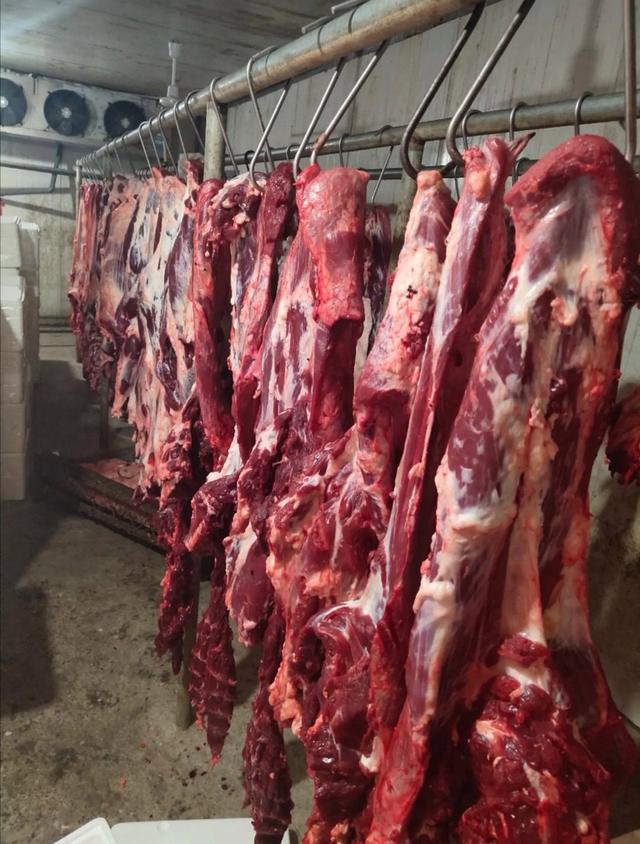 牛肉8元一斤猪肉4元一斤！美国人吃的肉那么便宜是怎么长的(图8)