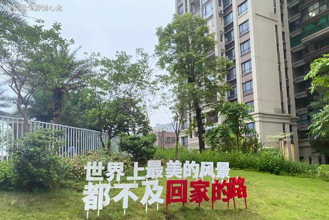 广东佛冈三州酱香豉油鸡女性的营养美食“新势力”(图5)