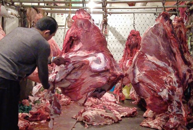 今年牛肉价格为啥这便宜？如何区分进口和国产牛肉？哪个部位好吃