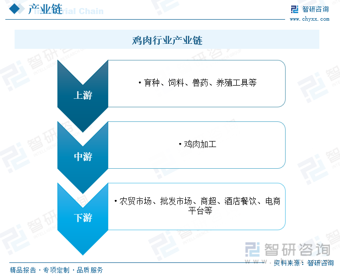 2025年中国鸡肉行业发展现状及趋势研判：随着居民生活水平提高市场需求不断增长(图3)