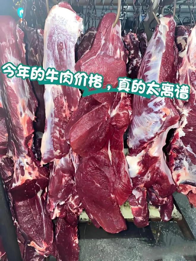牛肉食材价格持续反弹成本压力激增的牛肉类餐饮暴露脆弱性(图6)